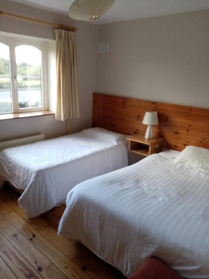 Parnell House Bed and Breakfast Ennis Exterior foto